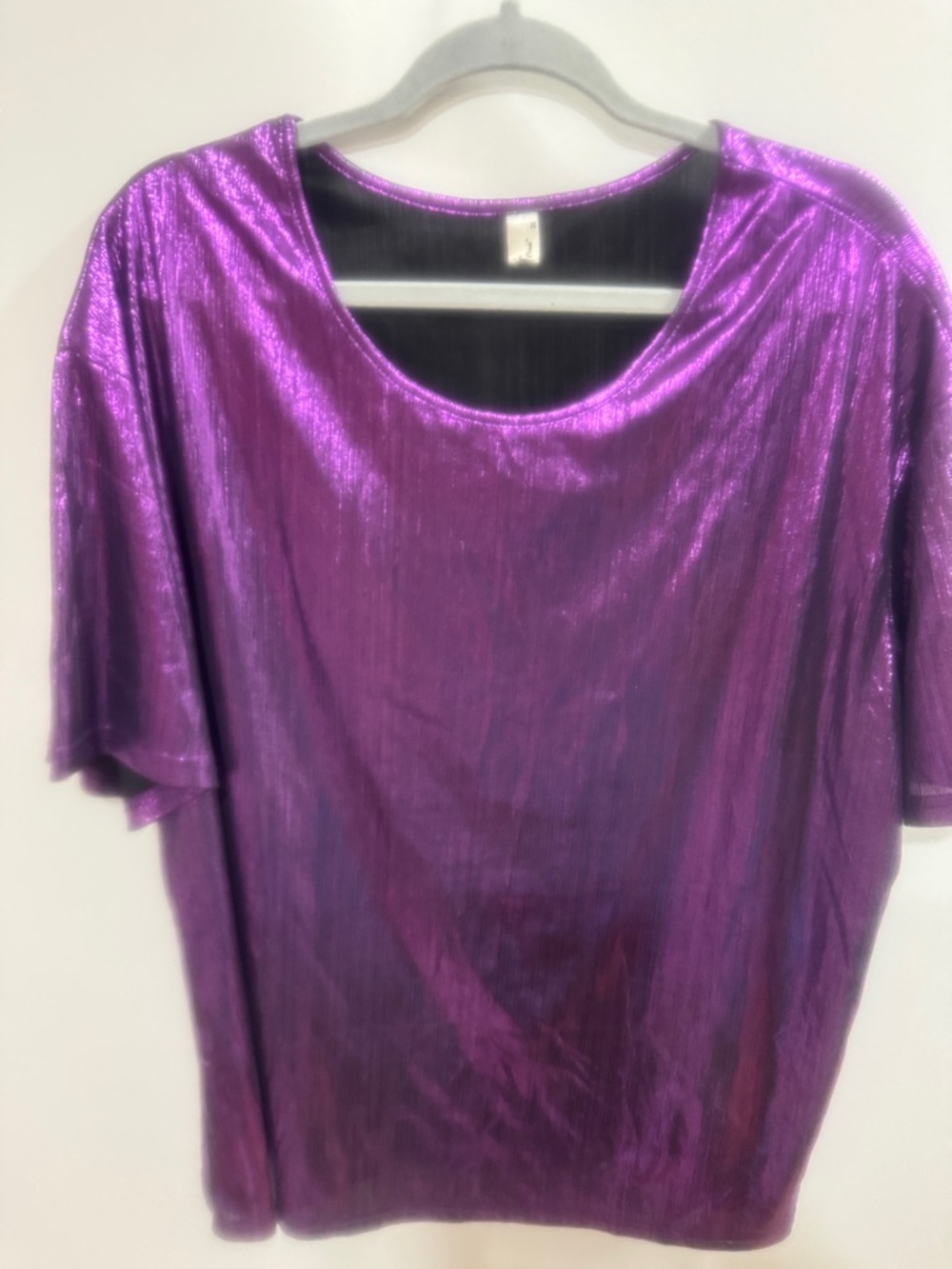 Shimmery Purple Short Sleeve Scoop Neck Top